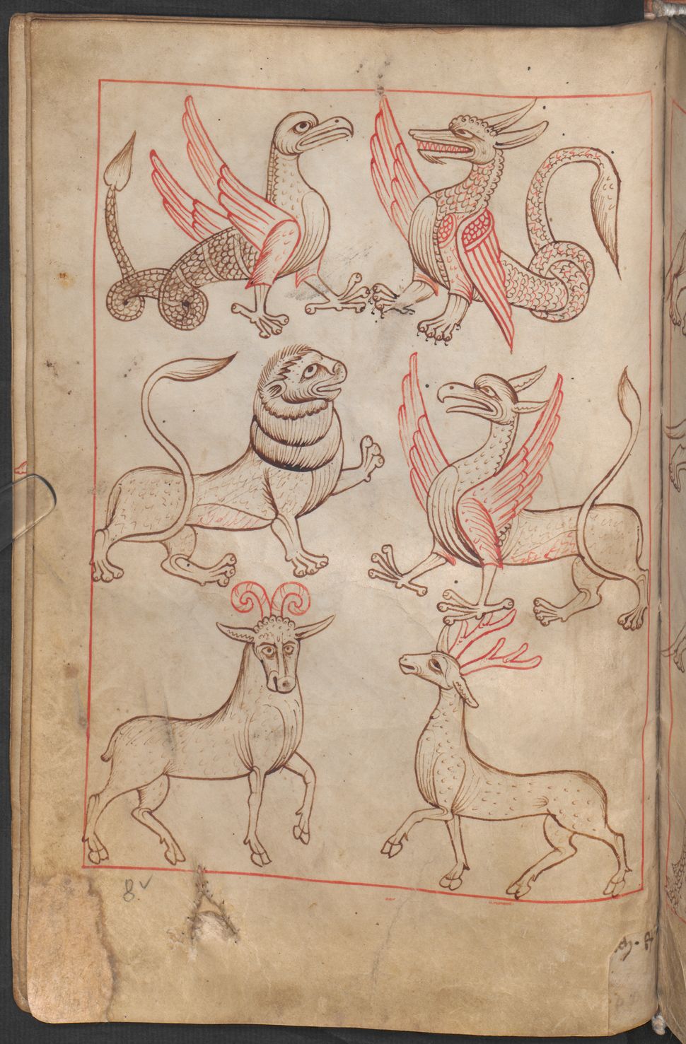 Reiner Musterbuch, Österreichischen Nationalbibliothek, Anfang des 13. Jahrhunderts (1208-1213), Codex Vindobonensis 507.