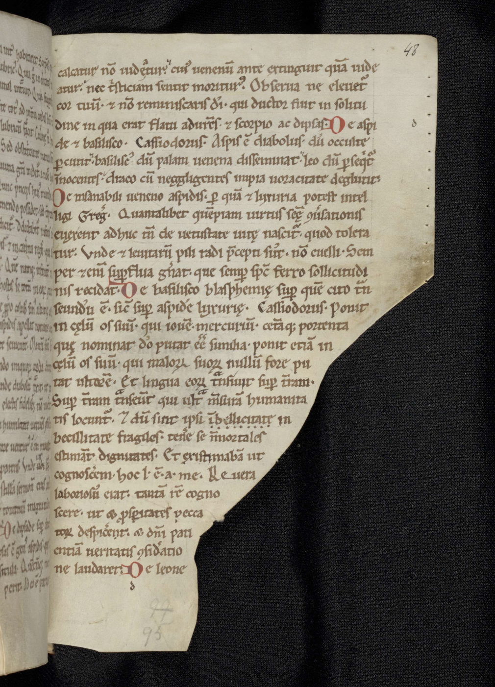 l’Opusculum de naturis animalium