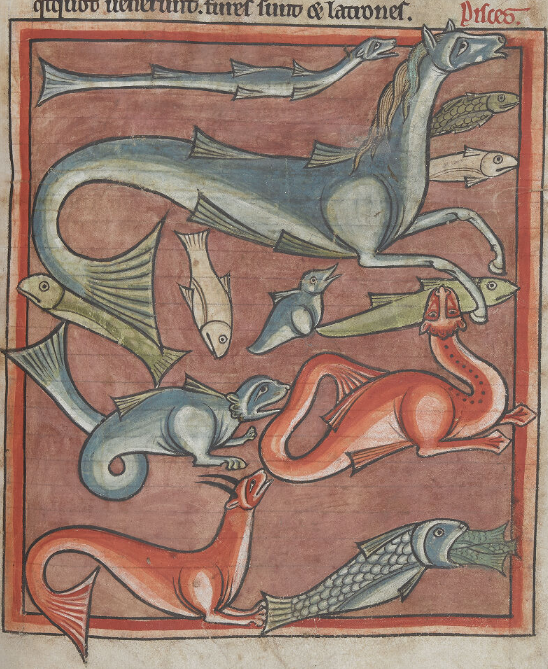 Ms. latin 4751, British Library, Londres, « Pifces », Bestiaire de Salisbury, f. 68r, XIIIe siècle